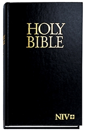 NIV Economy Hardcover Bibles