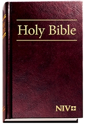 NIV Worship Edition Bibles