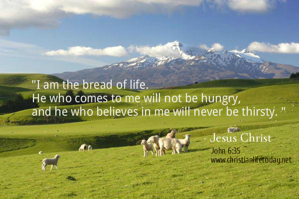 I am the bread of life. He who comes to me will not be hungry, and he who believes in me will never be thirsty